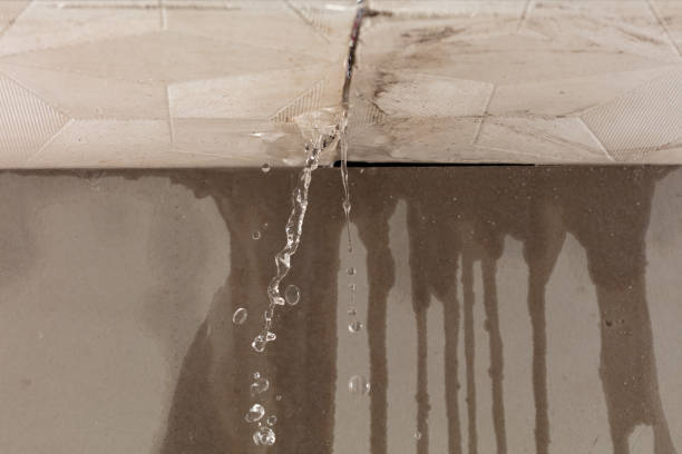 Professional Structural Drying technician working in Durand, MI